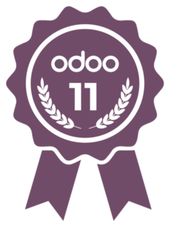 Odoo Certification 11